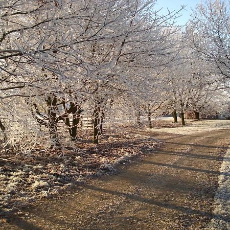 לינה וארוחת בוקר Moreton Pinkney Weston Hill Farm מראה חיצוני תמונה